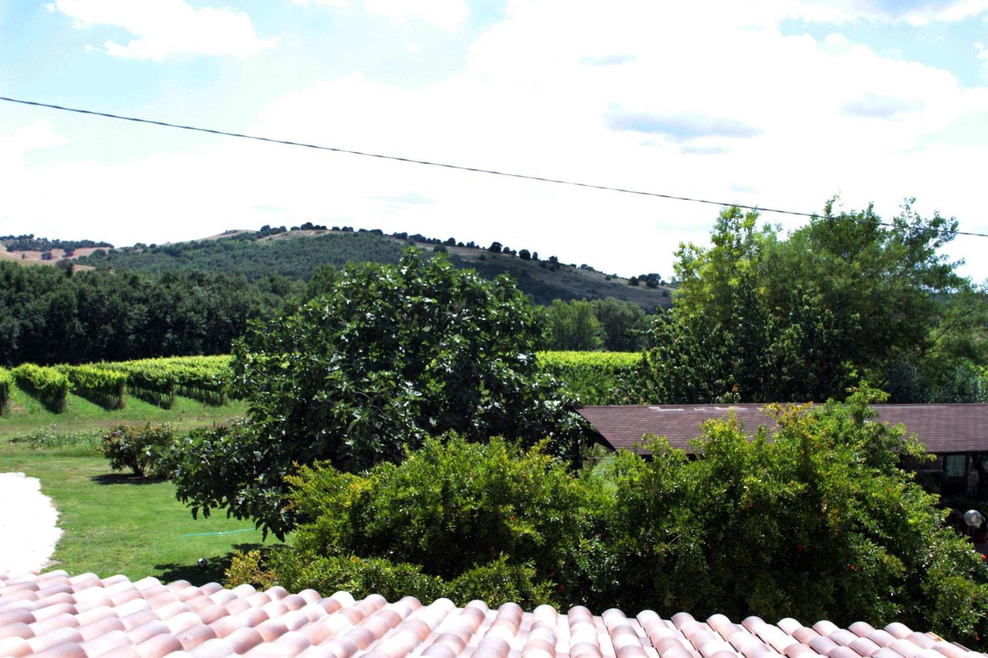 Agriturismo La Vecchia Quercia モンテメラノ エクステリア 写真