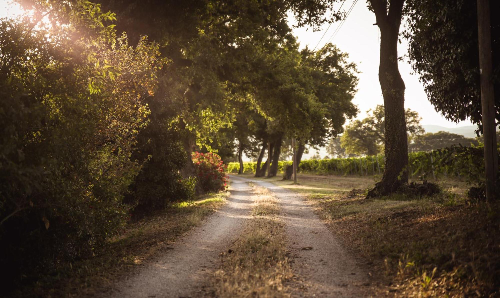 Agriturismo La Vecchia Quercia モンテメラノ エクステリア 写真